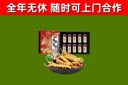 尼勒克县烟酒回收冬虫夏草礼盒.jpg